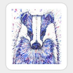 BADGER watercolor and ink portrait Sticker